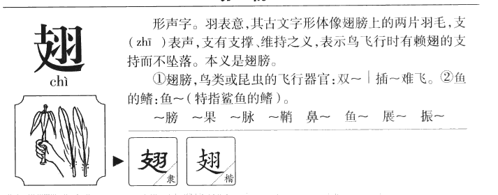 翅字字源