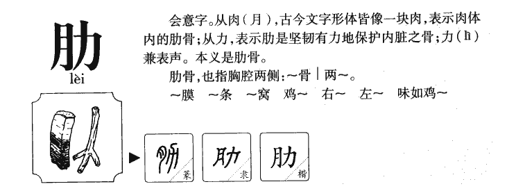 肋字字源