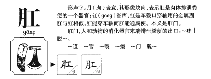 肛字字源