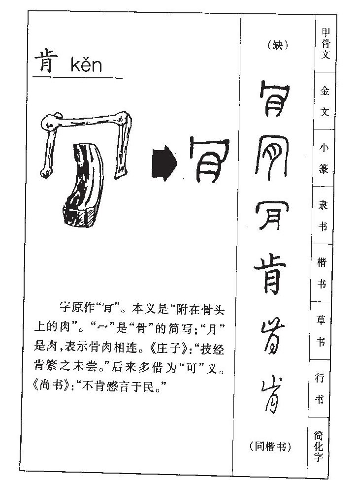 肯字字源