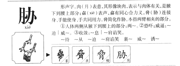 胁字字源