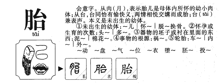 胎字字源