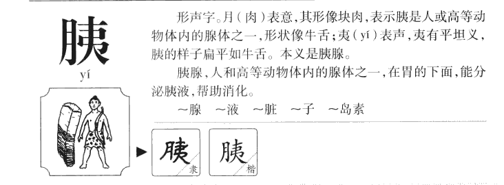 胰字字源