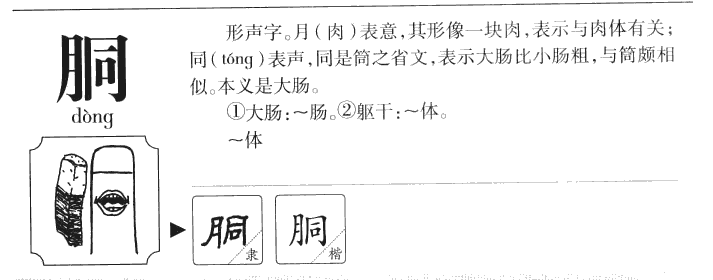 胴字字源
