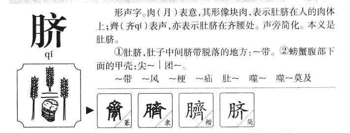 脐字字源