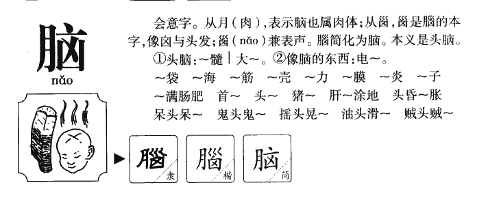 脑字字源