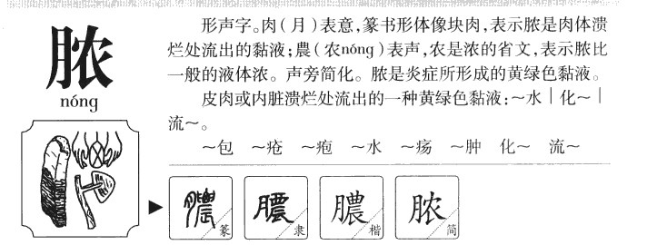 脓字字源