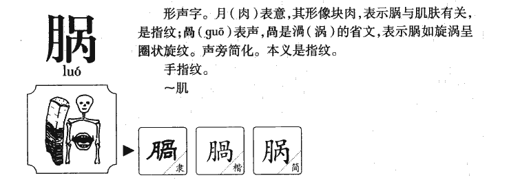 脶字字源