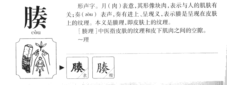 腠字字源