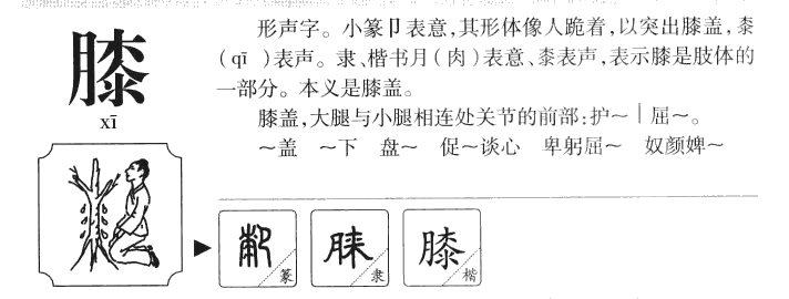 膝字字源