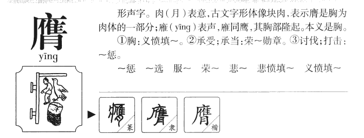 膺字字源