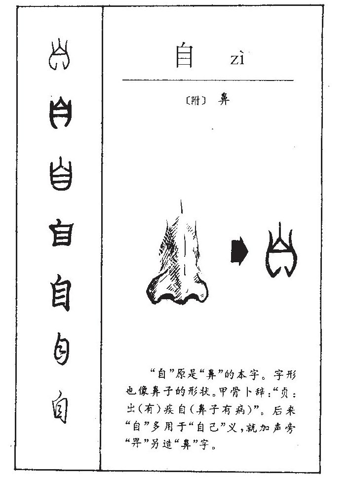 自字字源