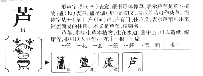 芦字字源