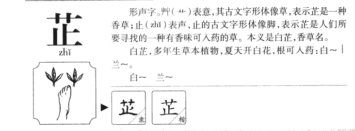 芷字字源