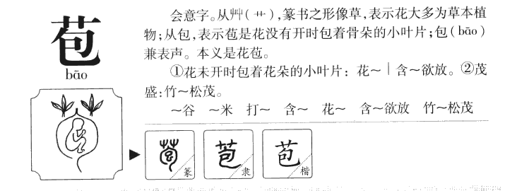 苞字字源