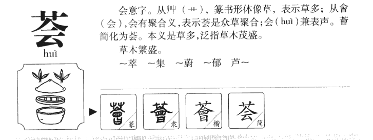 荟字字源