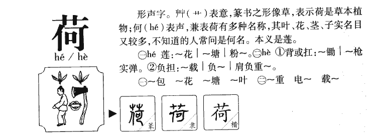 荷字字源
