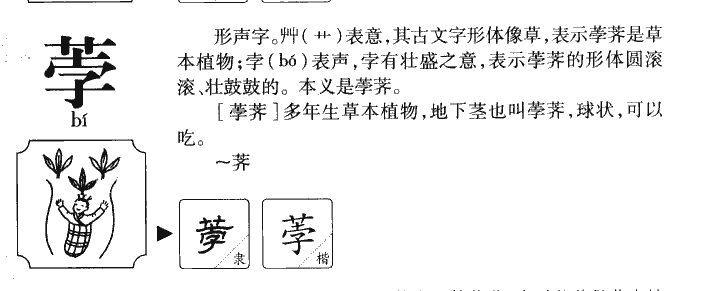 荸字字源