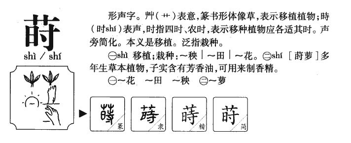 莳字字源