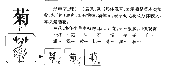 菊字字源