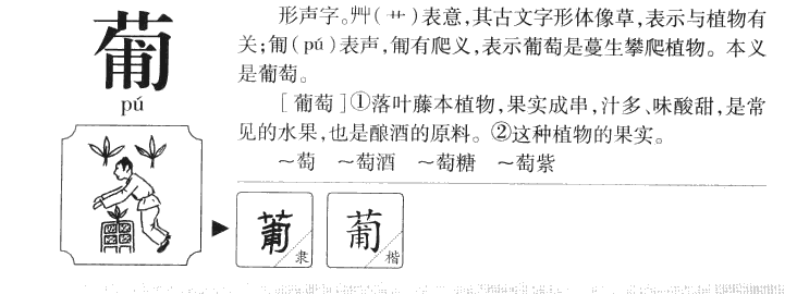 葡字字源