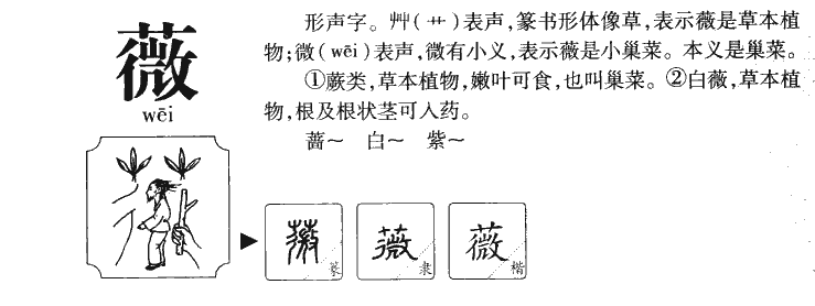 薇字字源