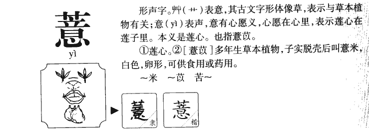 薏字字源