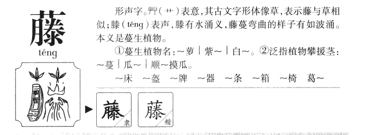 藤字字源