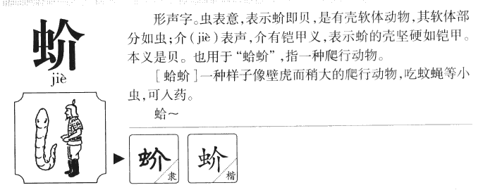 蚧字字源