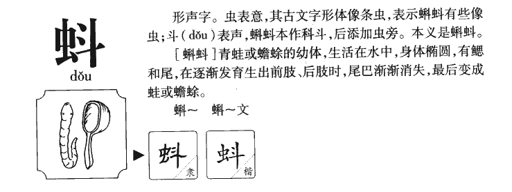 蚪字字源