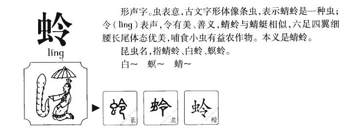 蛉字字源