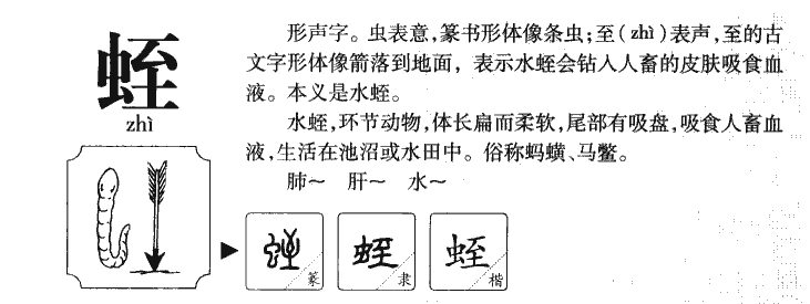 蛭字字源
