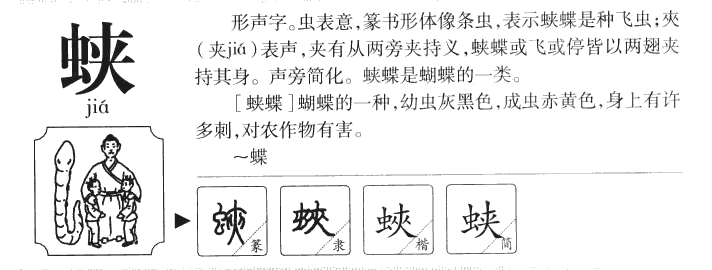 蛱字字源