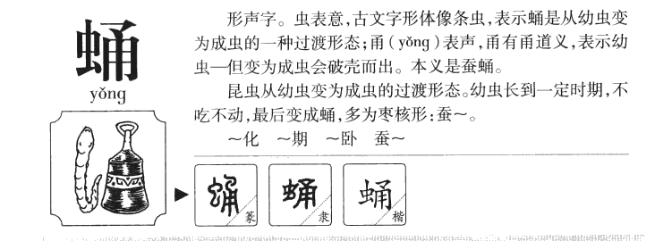 蛹字字源