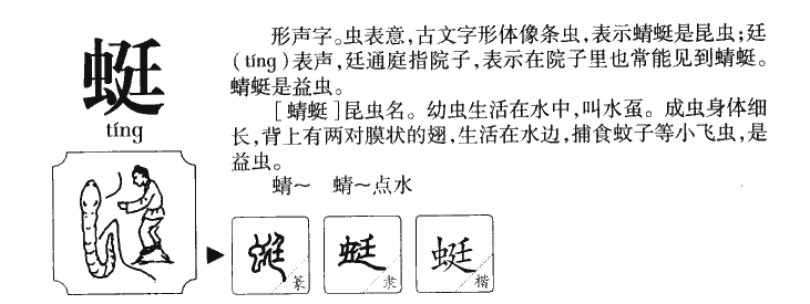 蜓字字源