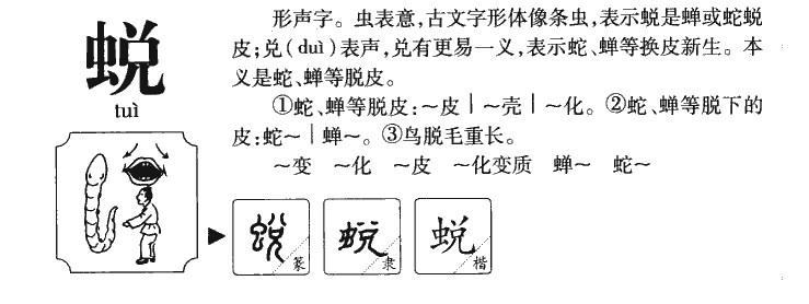 蜕字字源