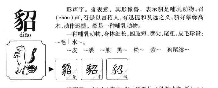 貂字字源