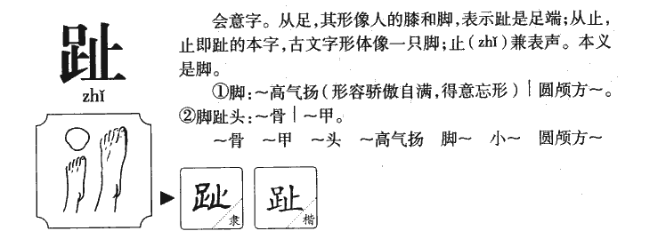 趾字字源