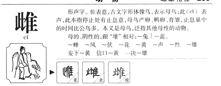 雌字字源