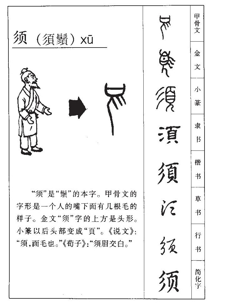 须字字源