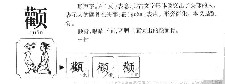 颧字字源