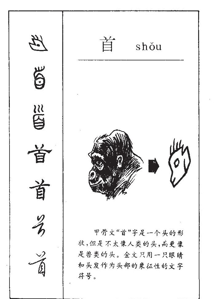 首字字源