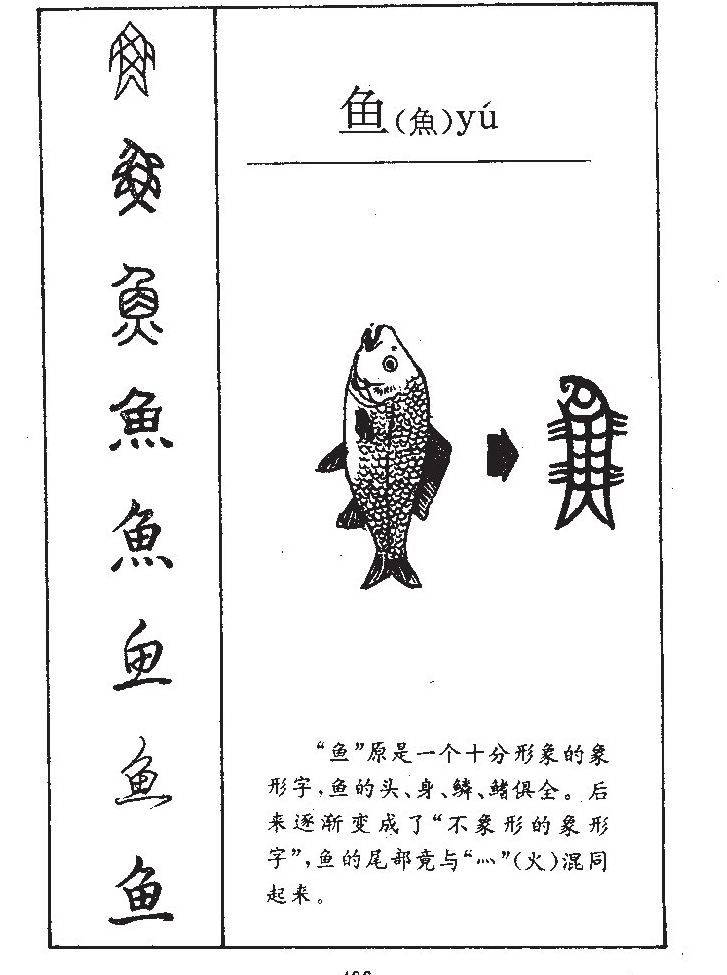 鱼字字源