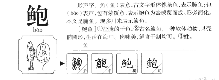 鲍字字源