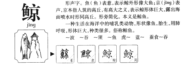 鲸字字源