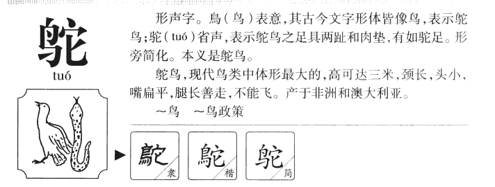 鸵字字源