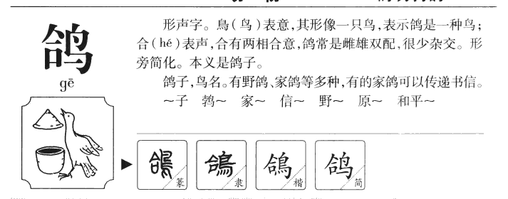 鸽字字源