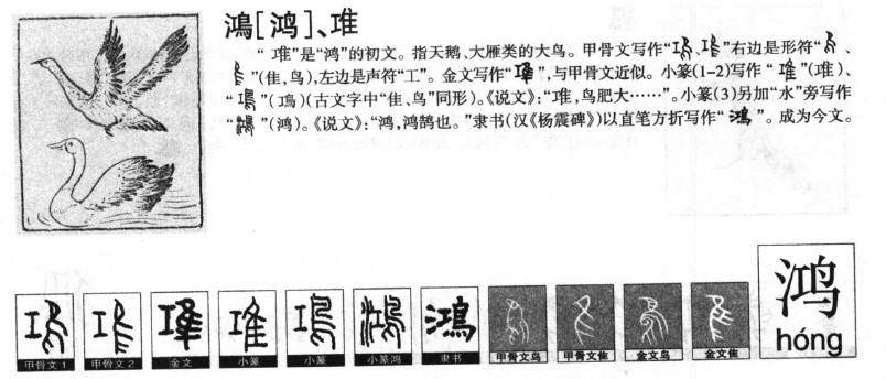 鸿字字源