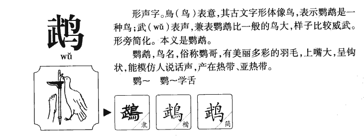 鹉字字源