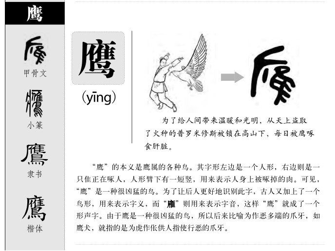 鹰字字源